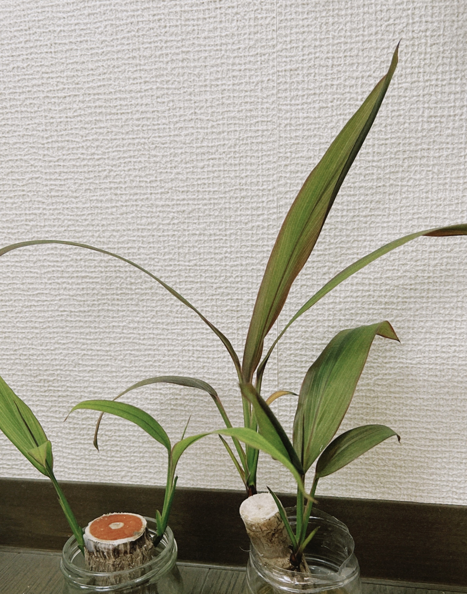 「クルトガ」