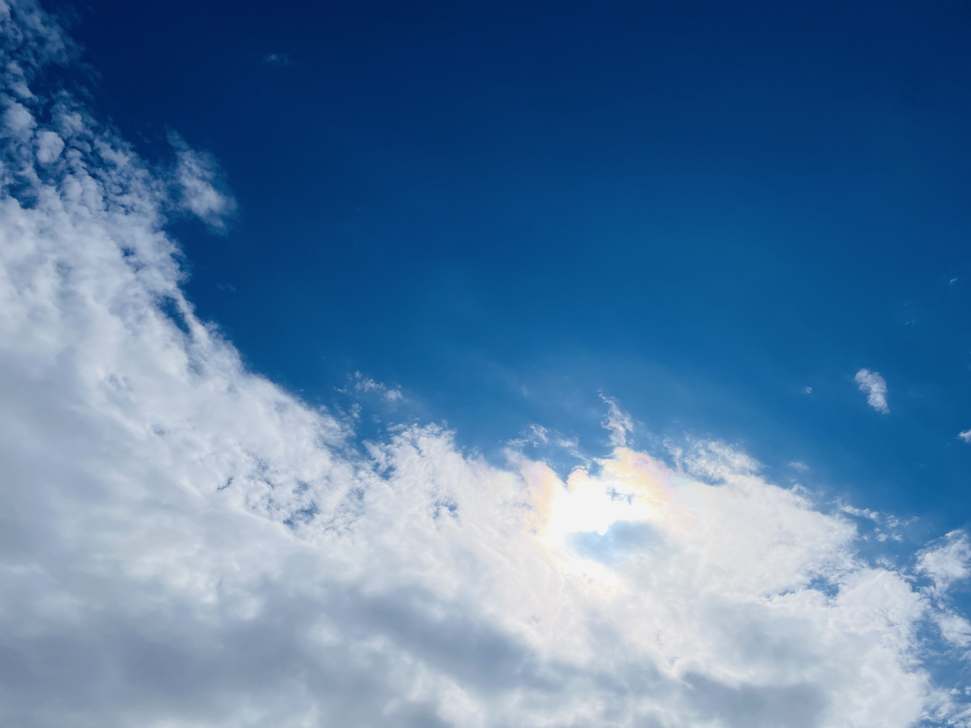 「最近のこと」