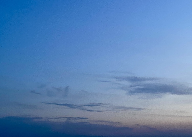 「5月と夏」 